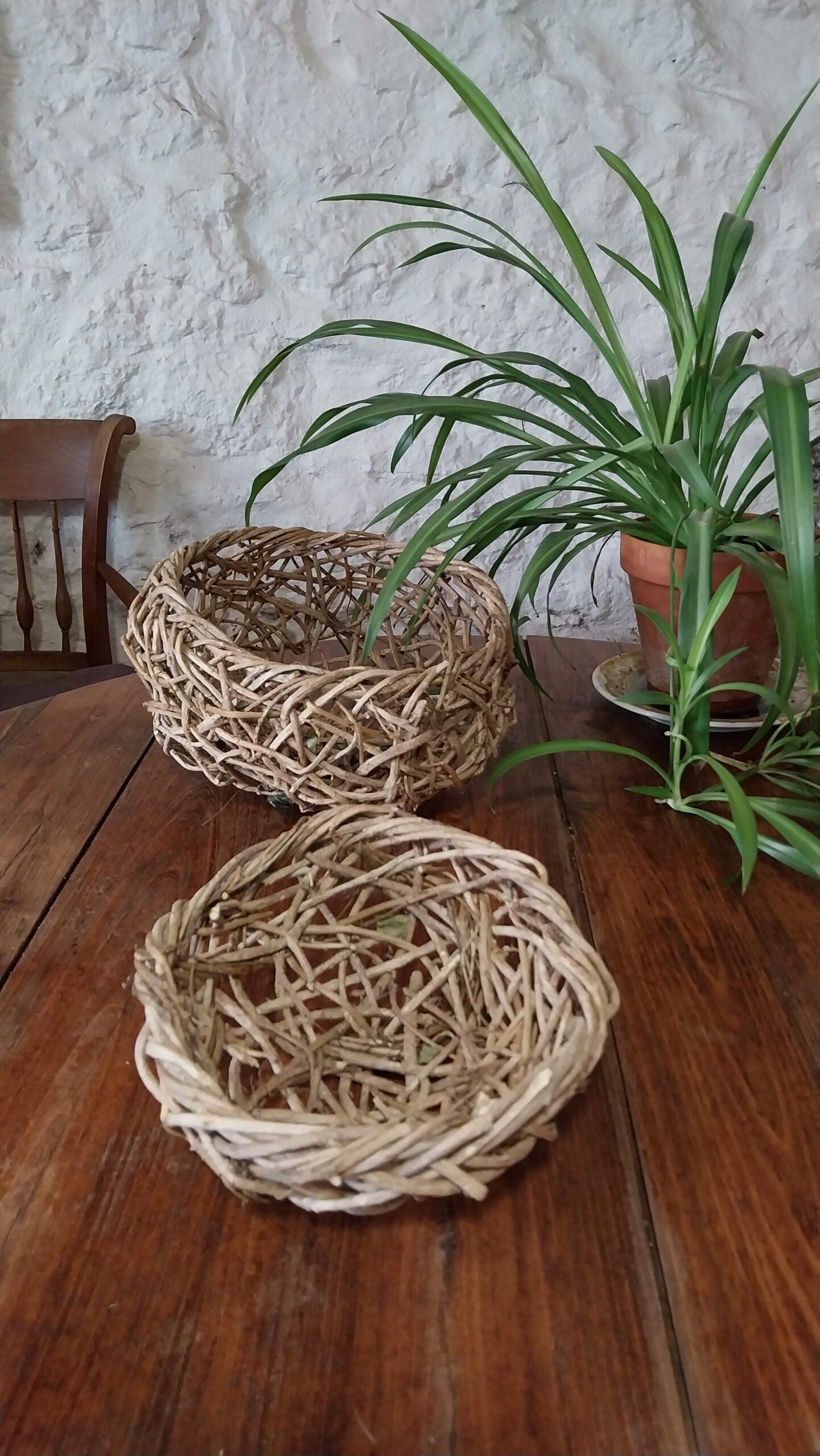 Petite corbeille en lierre