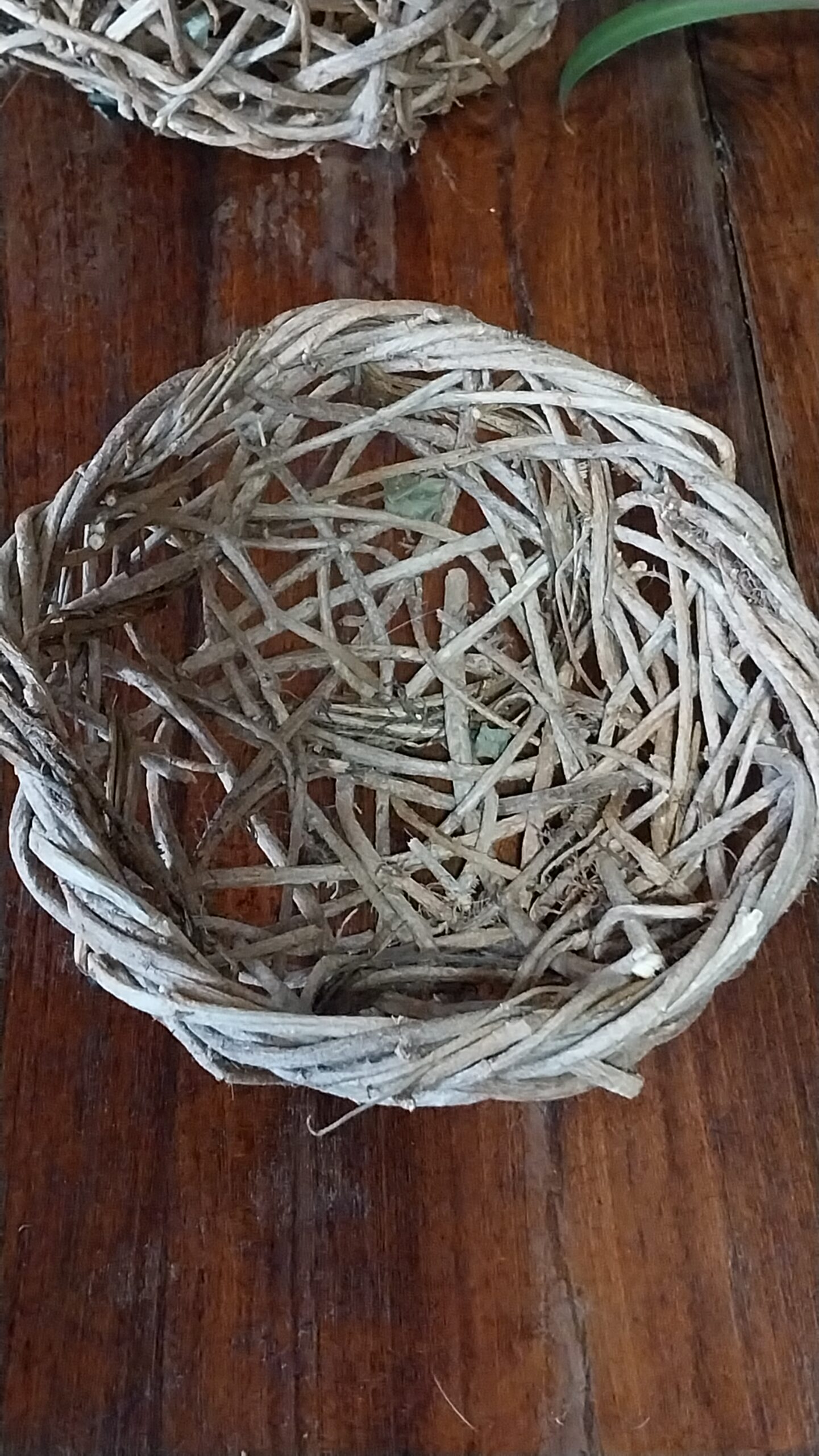 Petite corbeille en lierre – Image 3