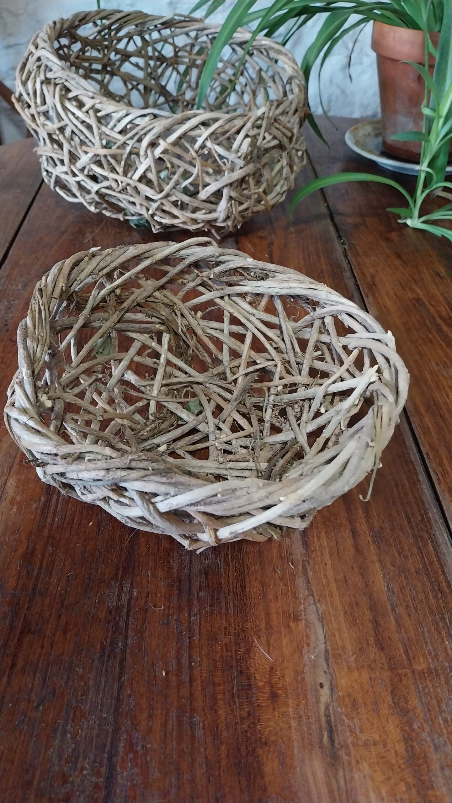 Petite corbeille en lierre – Image 6