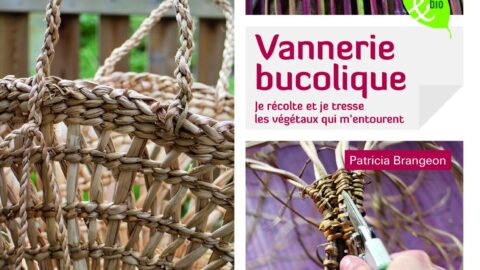 Interview par Cédric Lépine pour Médiapart