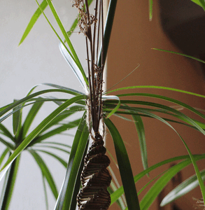 Lot de 3 gouttes allongées déco de Noël