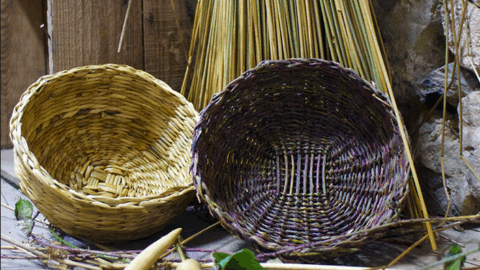 Journée vannerie sauvage – en groupe, en famille ou entre collègues