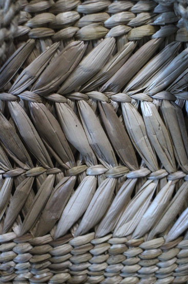 Réserver stage double croisée – Image 4