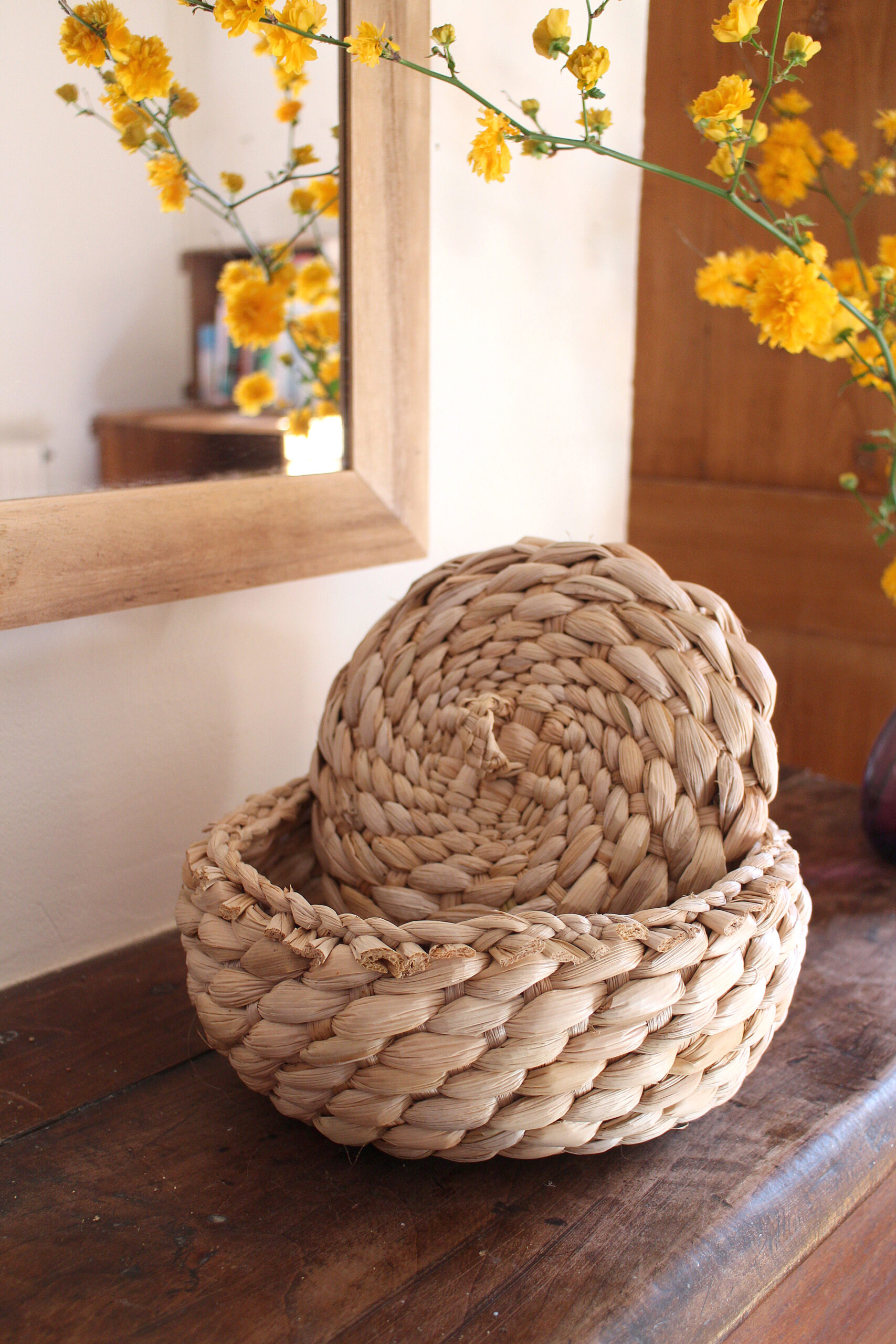 Réserver stage massette