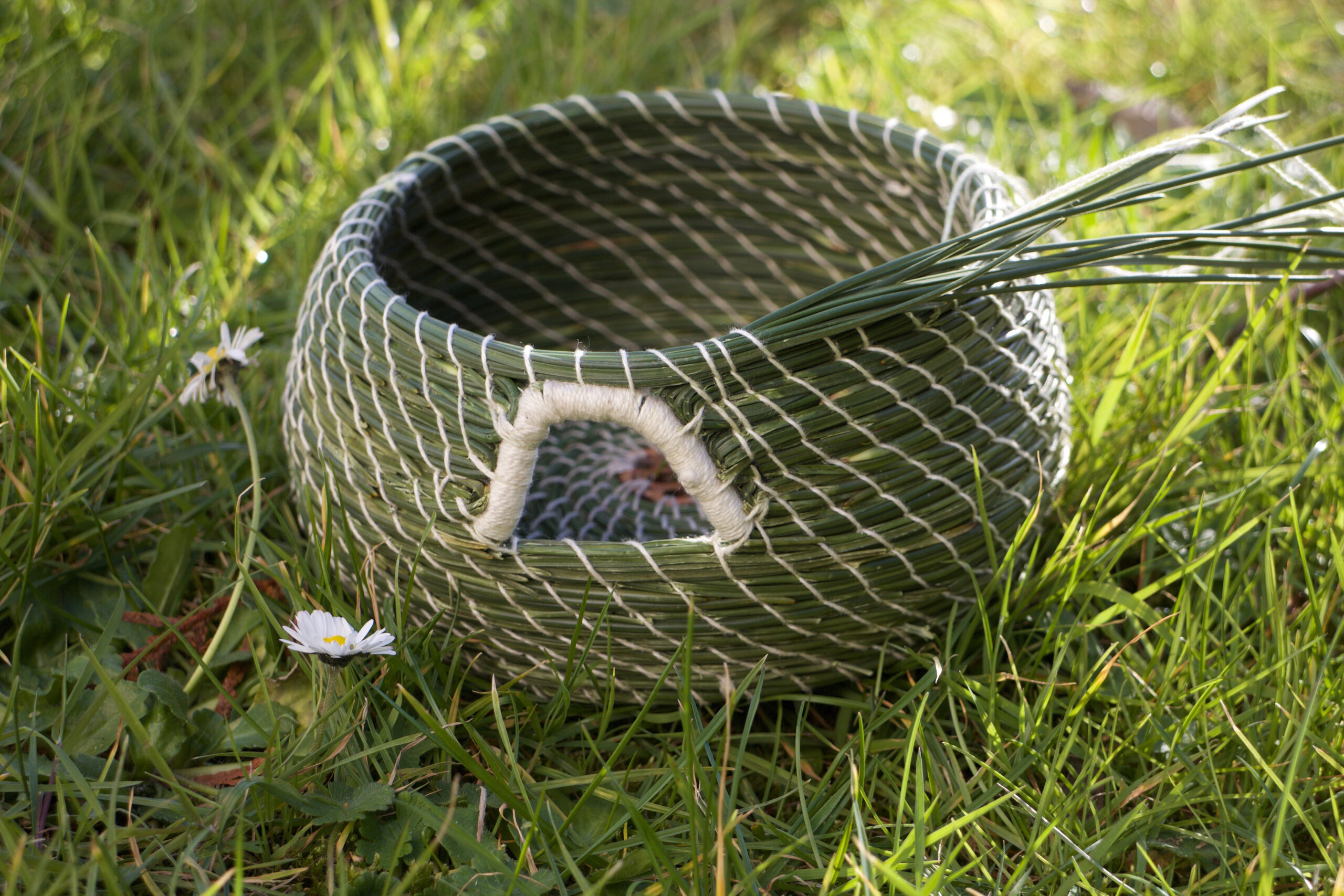 Réserver stage vannerie spiralée – Image 4