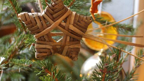 Fabrique une étoile jonc