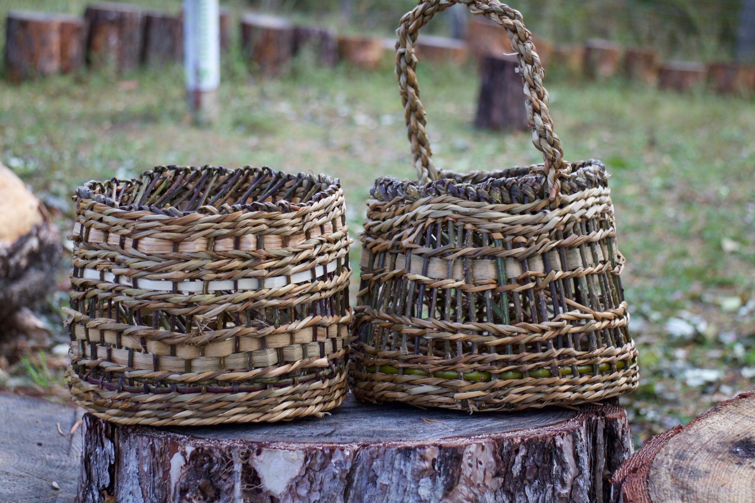 Réserver stage vannerie sauvage