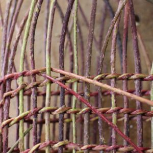 Réserver stage ronce